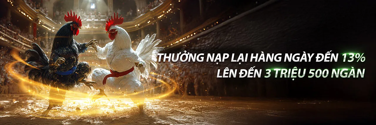 Sân đấu đá gà trực tuyến kịch tính tại daga68 chính thức